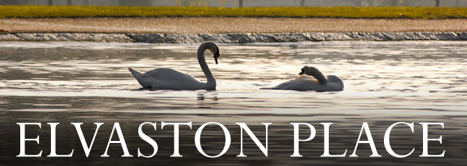 ELVASTON